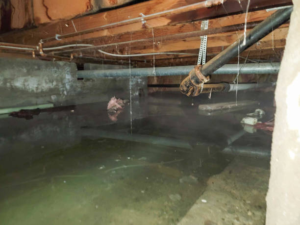 Best Residential water damage restoration  in Watsontown, PA