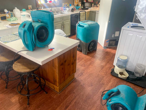 Best Ceiling water damage repair  in Watsontown, PA