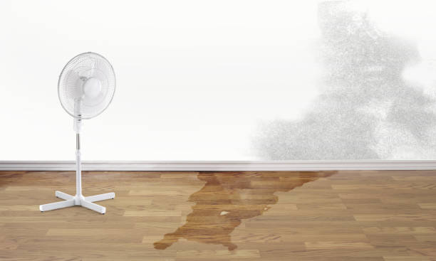 Best Carpet water damage restoration  in Watsontown, PA