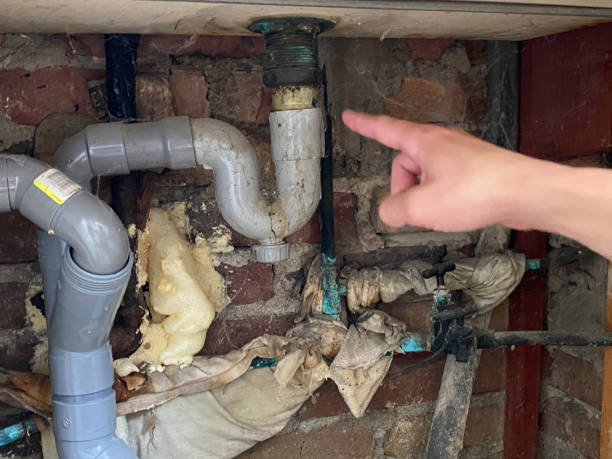 Best Water damage cleanup near me  in Watsontown, PA